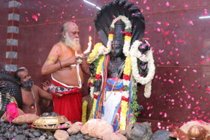 Sri V.V. Sridhar Guruji